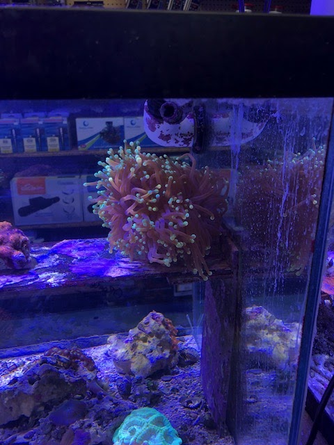 Fish World - Photo 1