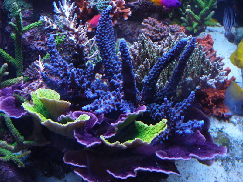 Fish World - Photo 2