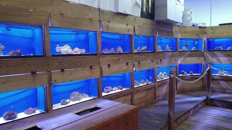 Fish World - Photo 3