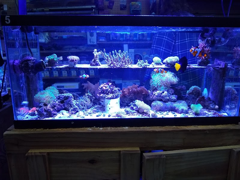 Fish World - Photo 5