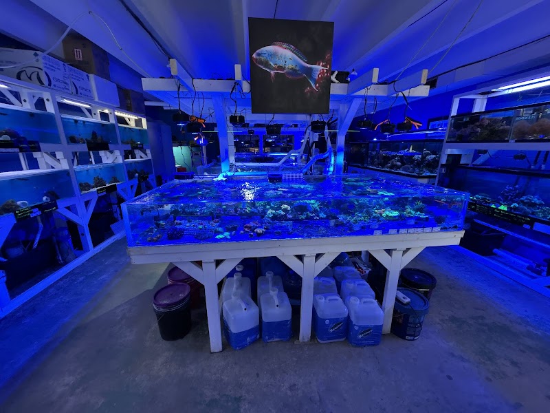 Aquarium Pros VA - Photo 3