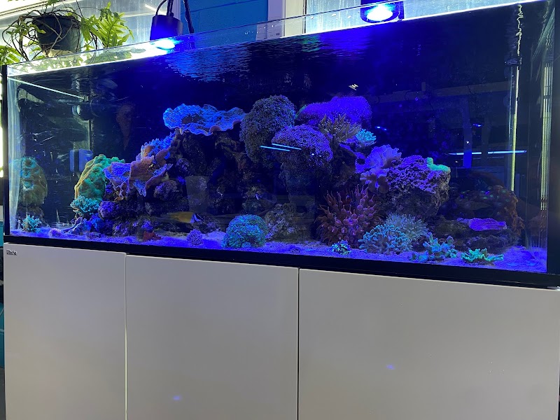 Aquarium Pros VA - Photo 5