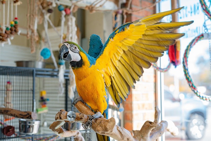 A Pet's Tale - Photo 4