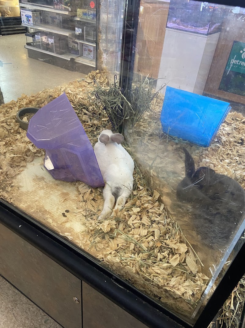 Fin & Feather Pet Center, Inc. - Photo 3