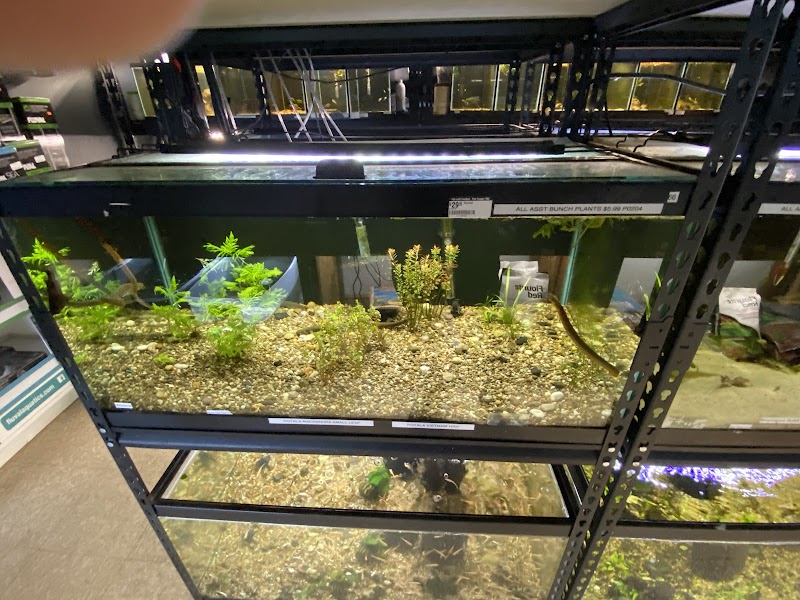 Fin & Feather Pet Center, Inc. - Photo 5