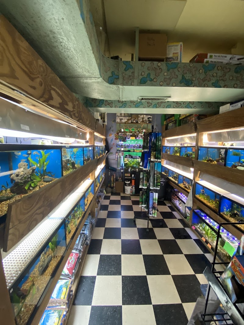 Fin & Feather of Ashland - Photo 3