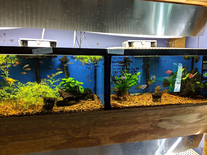 Fin & Feather of Ashland - Photo 4