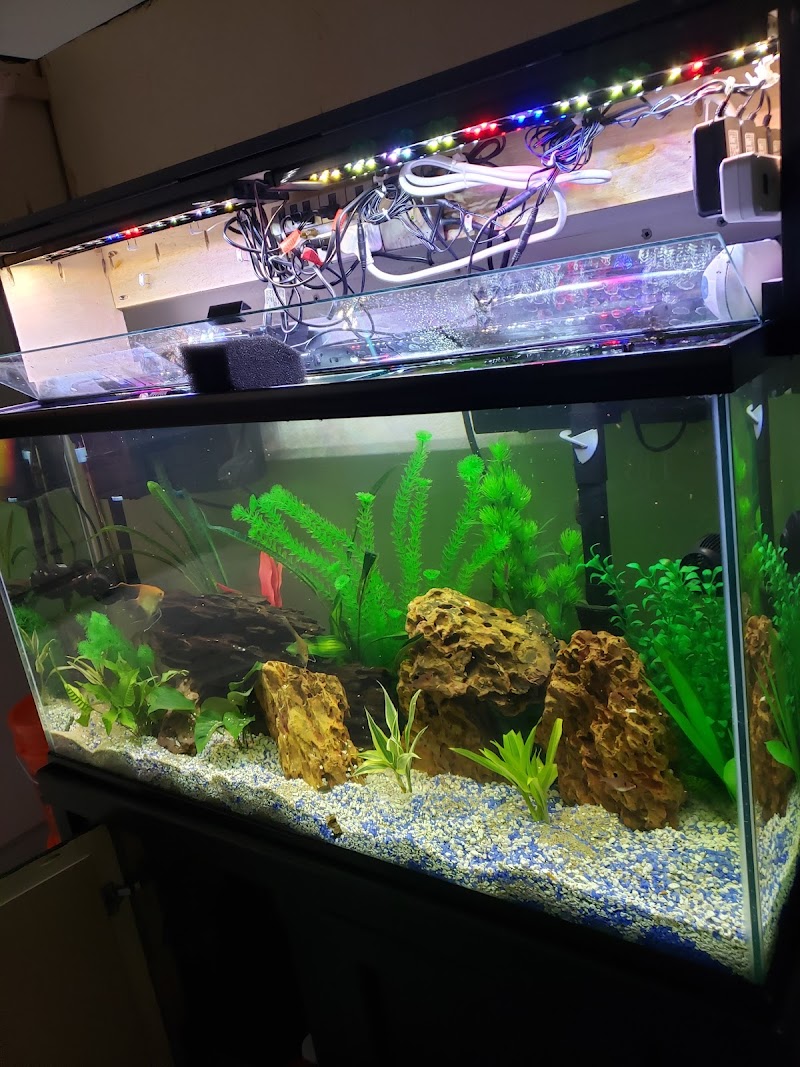 Tropical Reef Fish Store - Photo 2