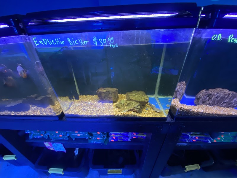 Tropical Reef Fish Store - Photo 4