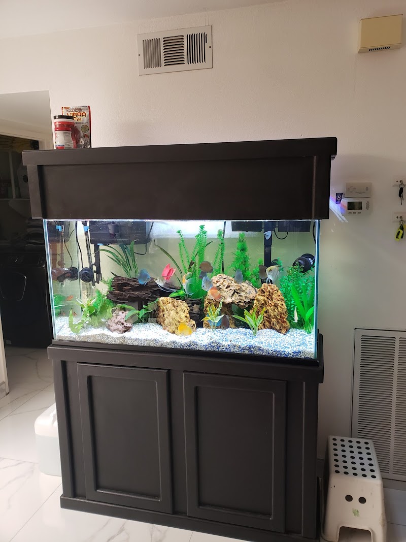 Tropical Reef Fish Store - Photo 5