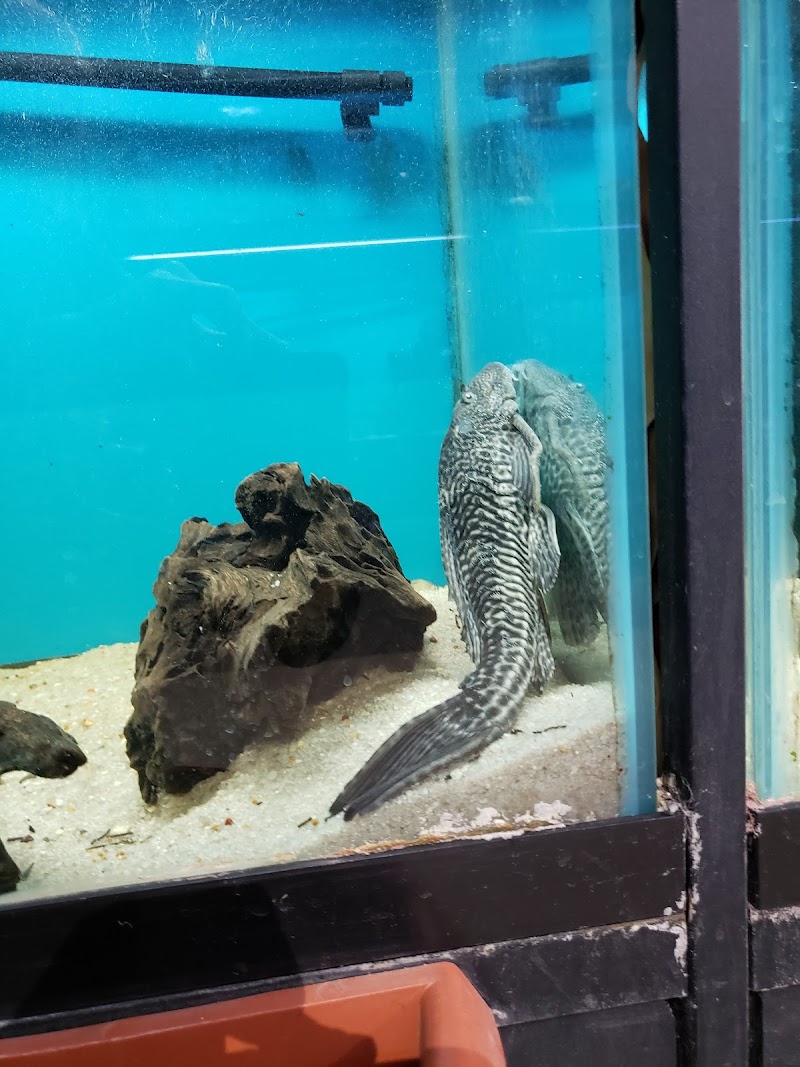 The Pet Advantage - Photo 3