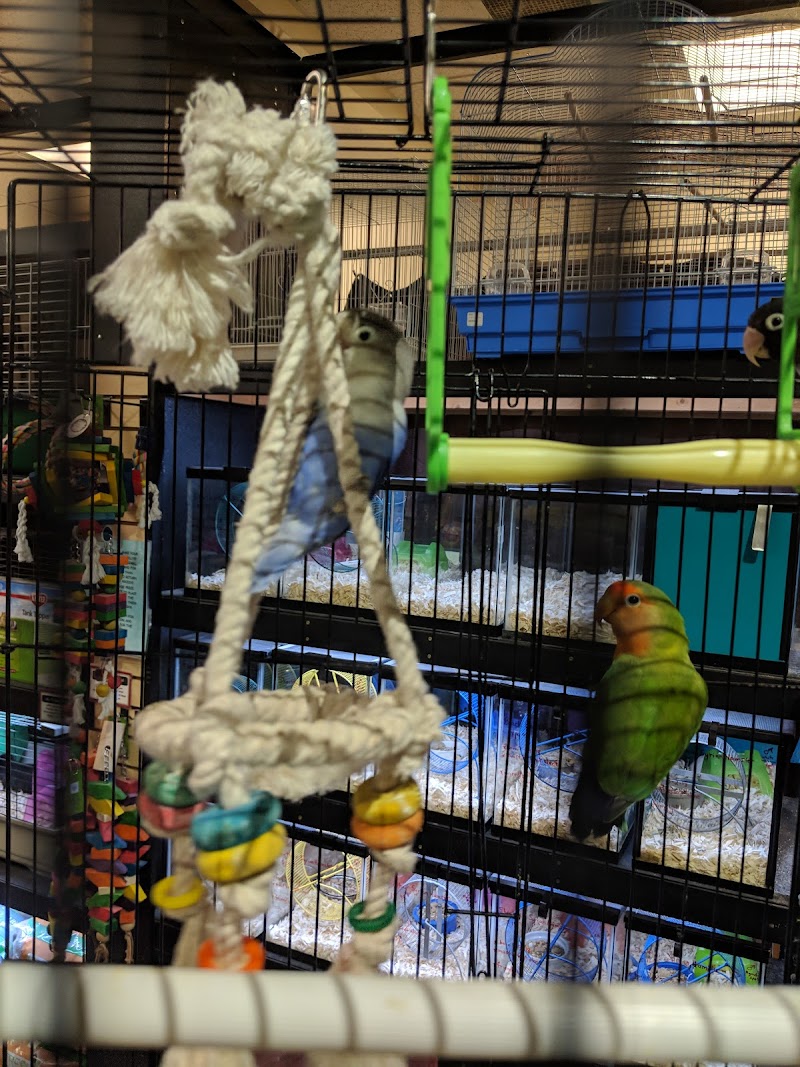 The Pet Advantage - Photo 4