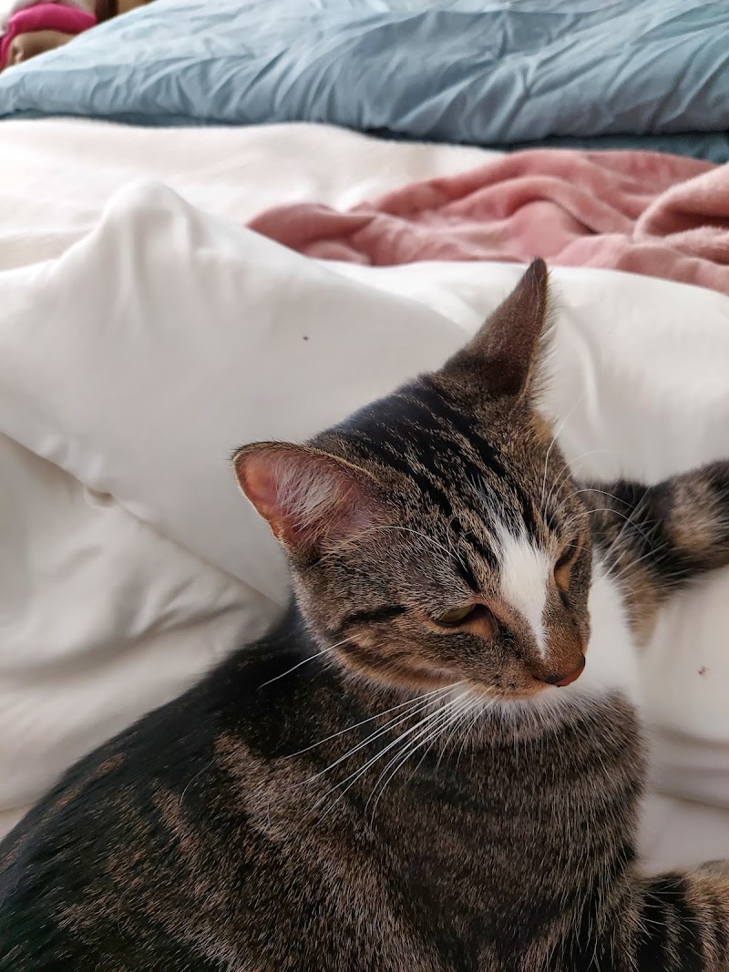 Pet Food Warehouse - Photo 5