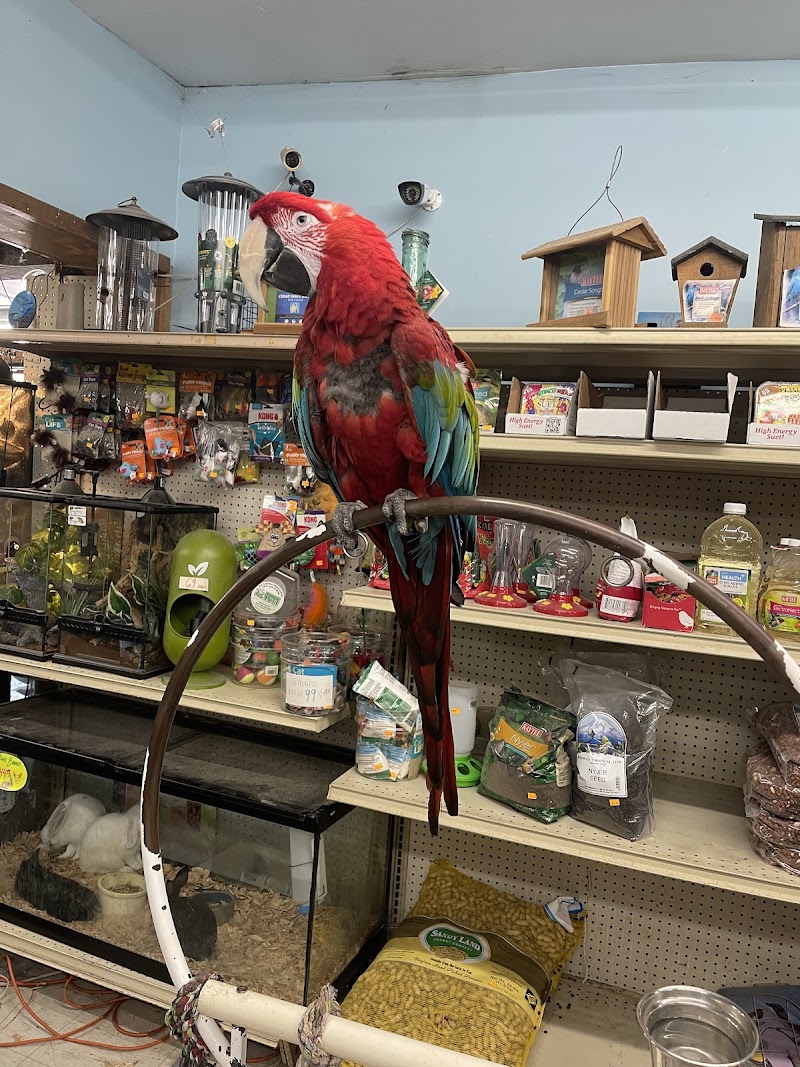 Midway Tropical Fish & Pets - Photo 2