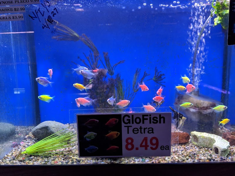 Midway Tropical Fish & Pets - Photo 4