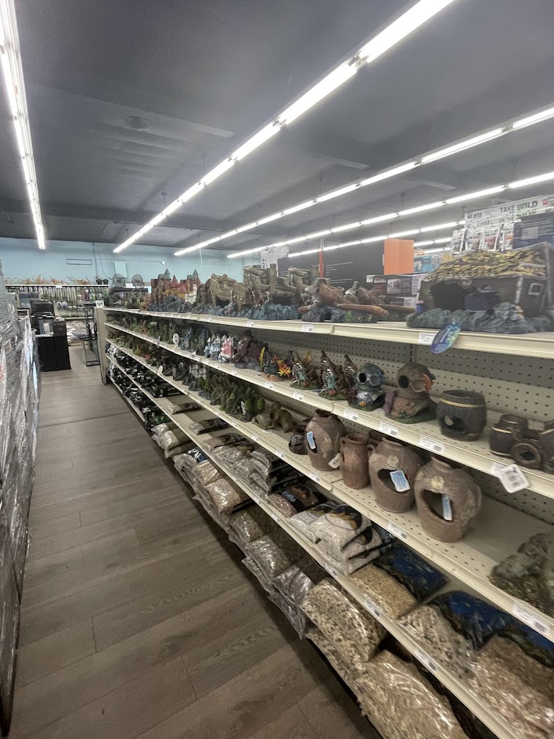 Tropical Fish World - Photo 4