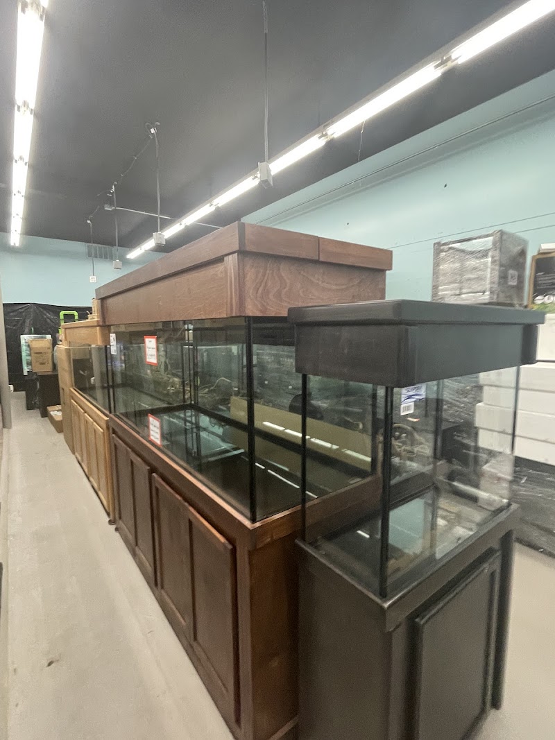 Tropical Fish World - Photo 5