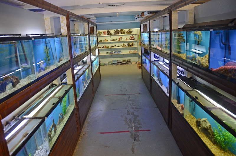 Aquarium Paradise - Photo 3
