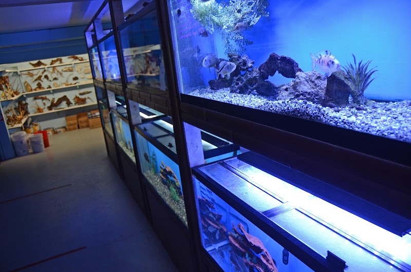 Aquarium Paradise - Photo 4
