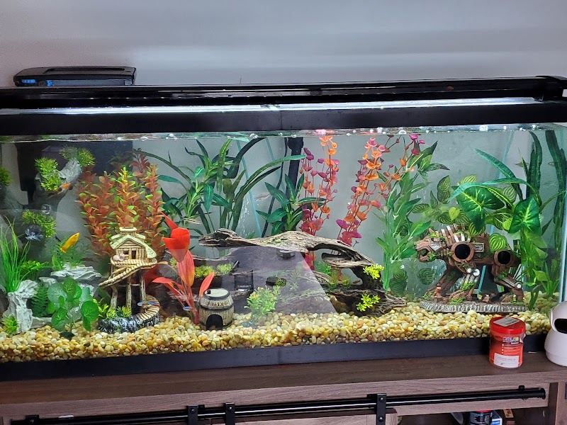 Aquarium Paradise - Photo 5