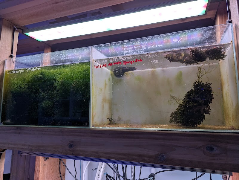 Barrier Reef Aquariums - Photo 1