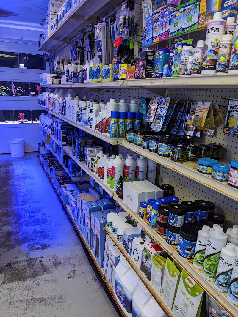 Barrier Reef Aquariums - Photo 4