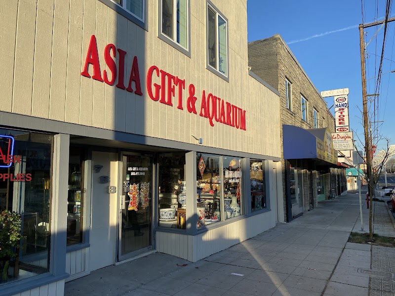 Asia Gift & Aquarium - Photo 1