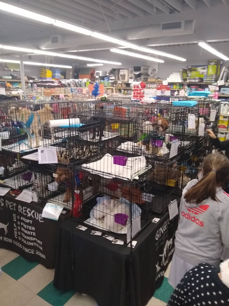 Sierra Fish & Pets - Photo 5