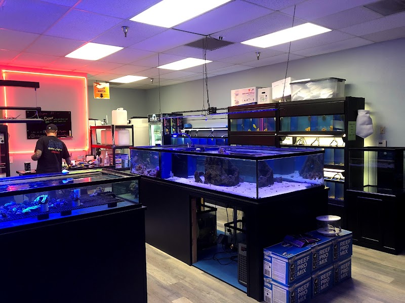 Ocean Aquatics - Photo 3