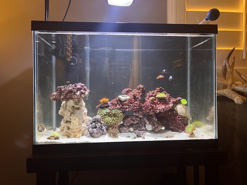 Ocean Aquatics - Photo 4