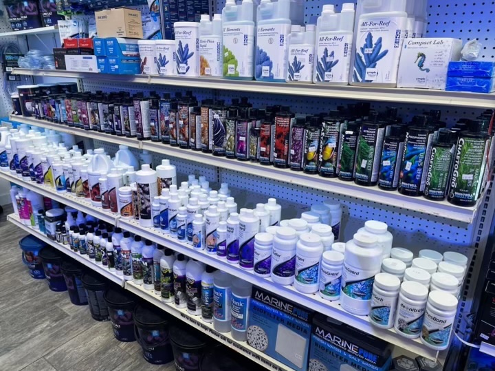 Sea King Aquariums - Photo 2