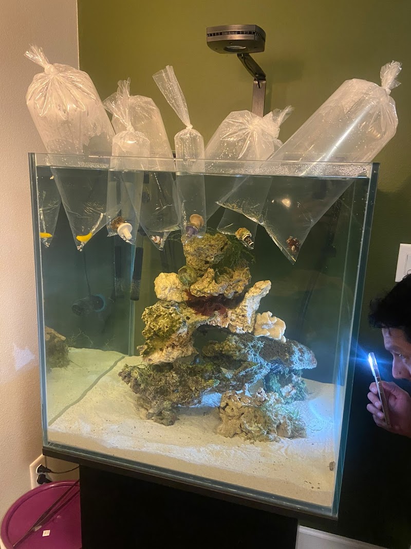 Sea King Aquariums - Photo 4