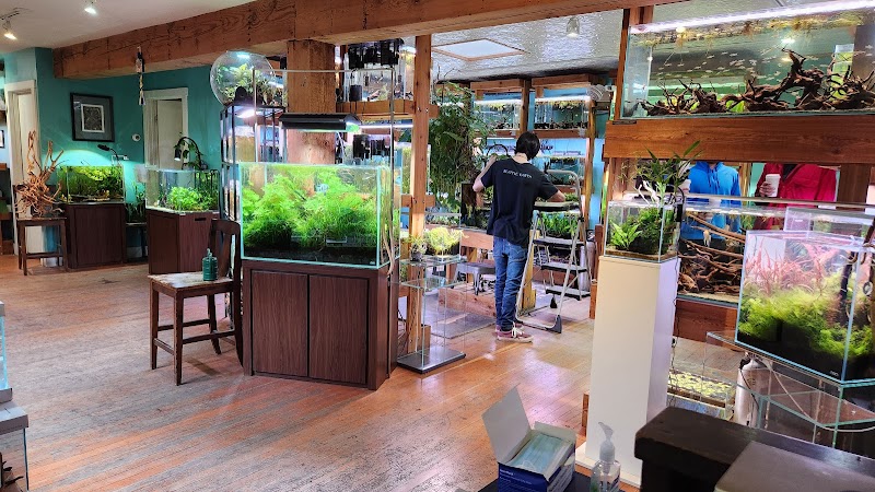 Aquarium Zen, LLC - Photo 1