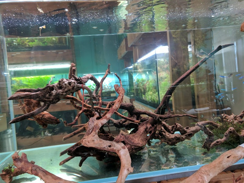 Aquarium Zen, LLC - Photo 3