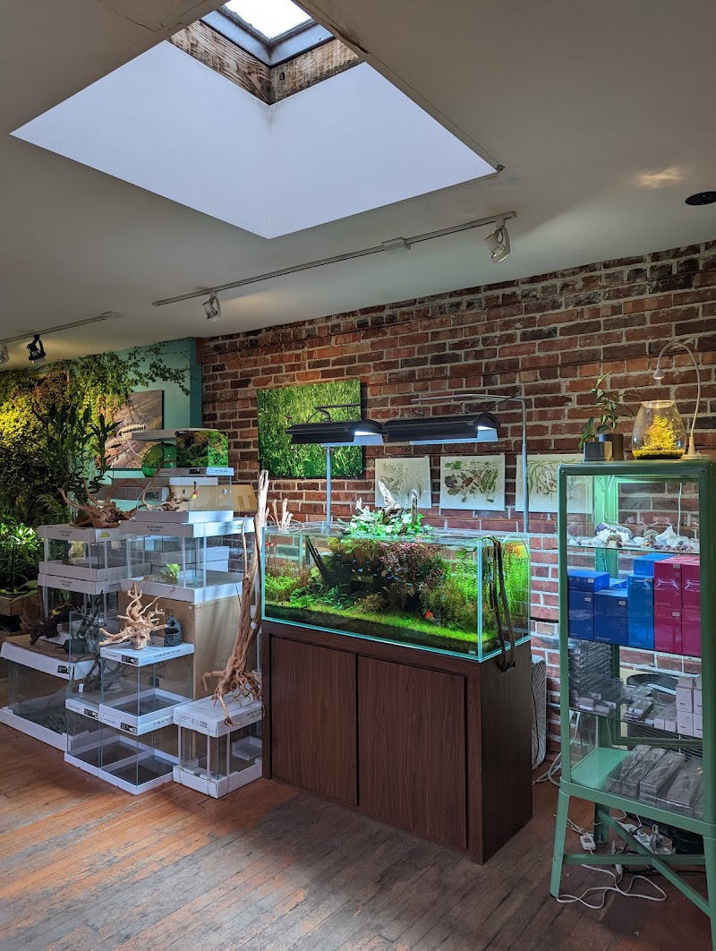 Aquarium Zen, LLC - Photo 4