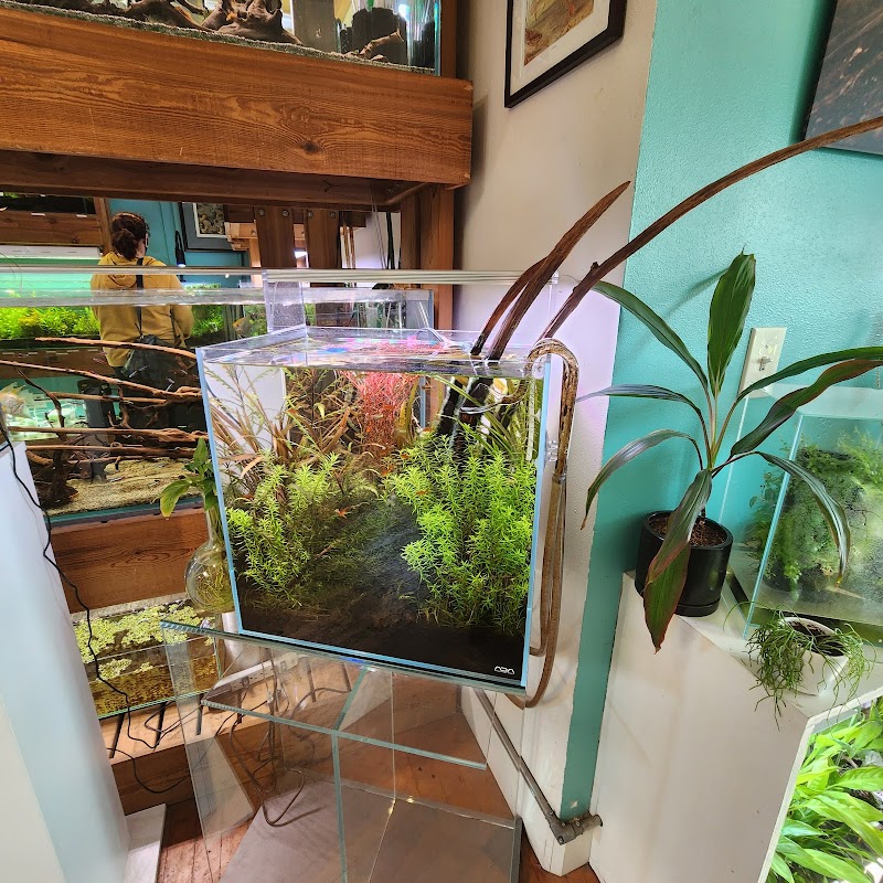 Aquarium Zen, LLC - Photo 5