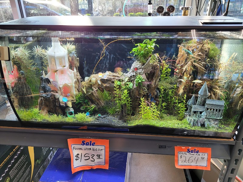 The Fish Store - Photo 2