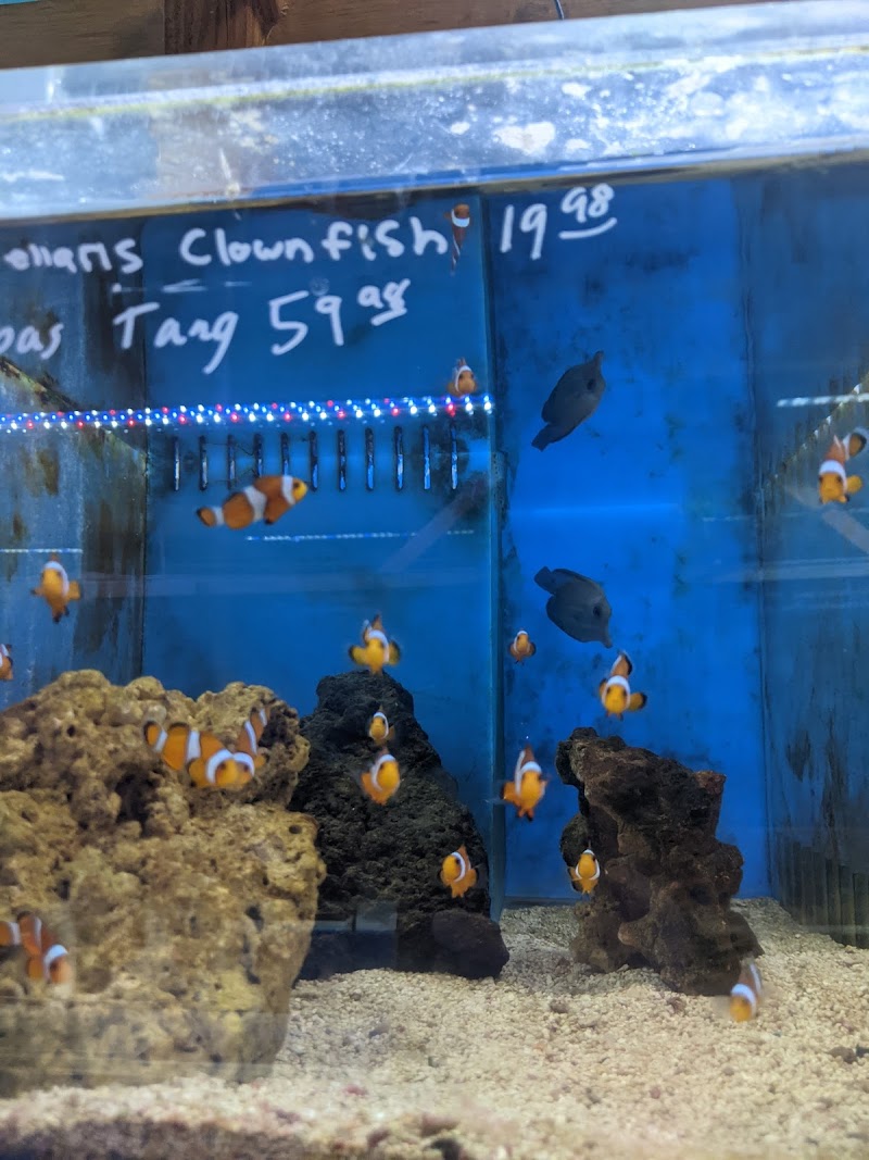 The Fish Store - Photo 3