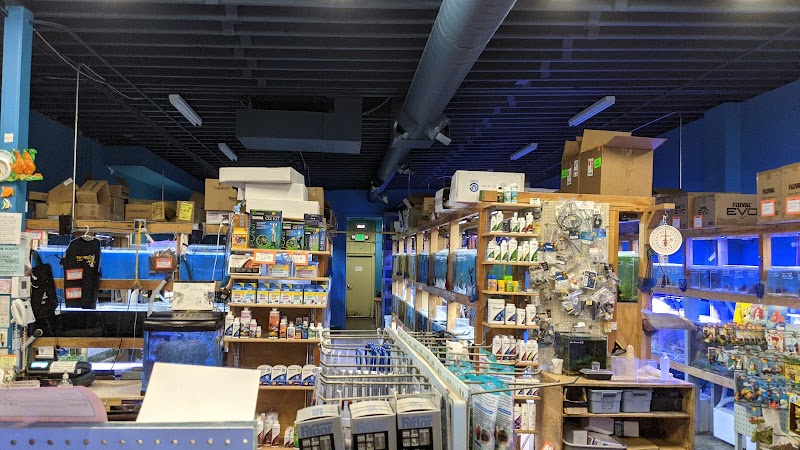 The Fish Store - Photo 4