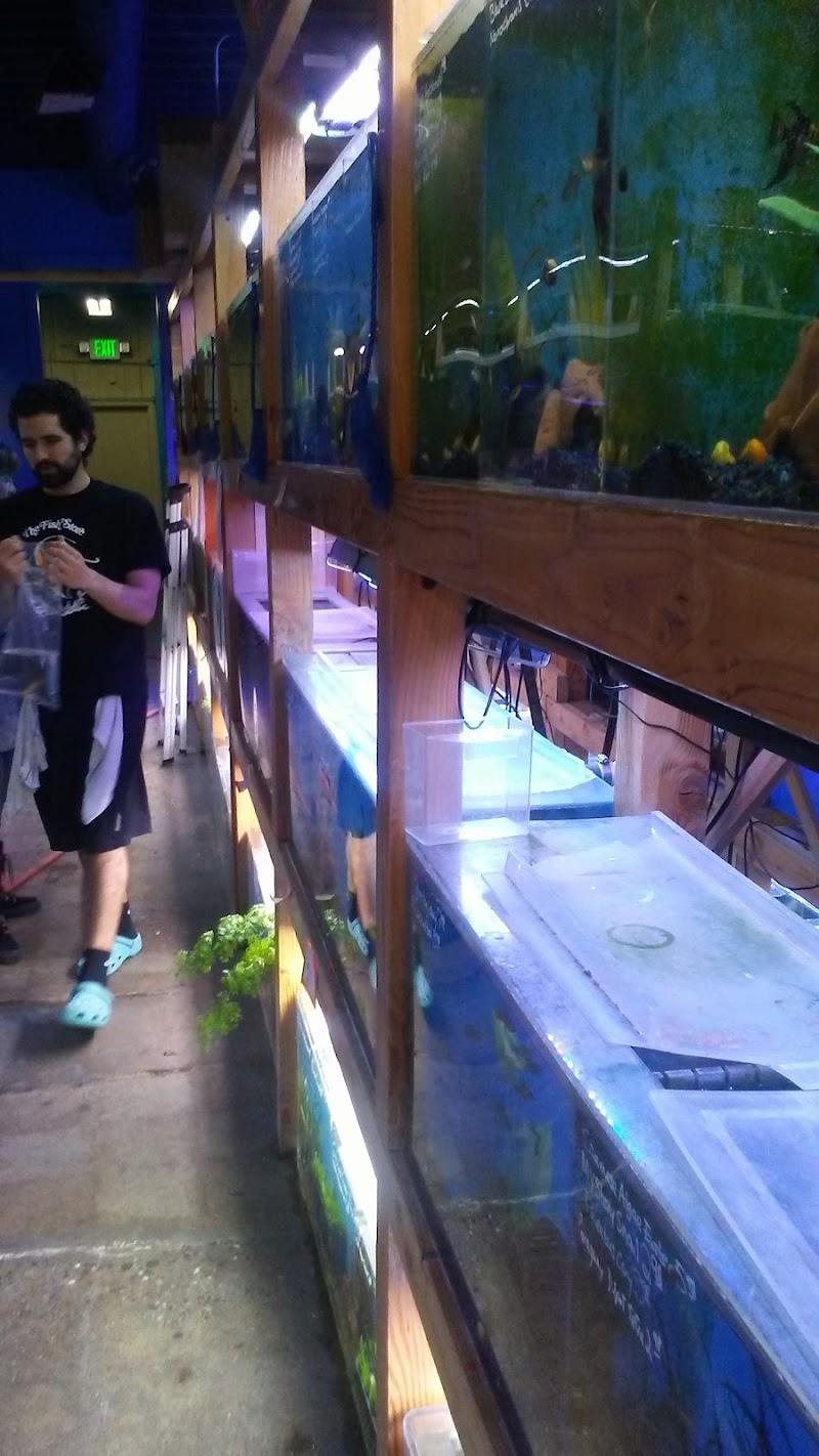 The Fish Store - Photo 5