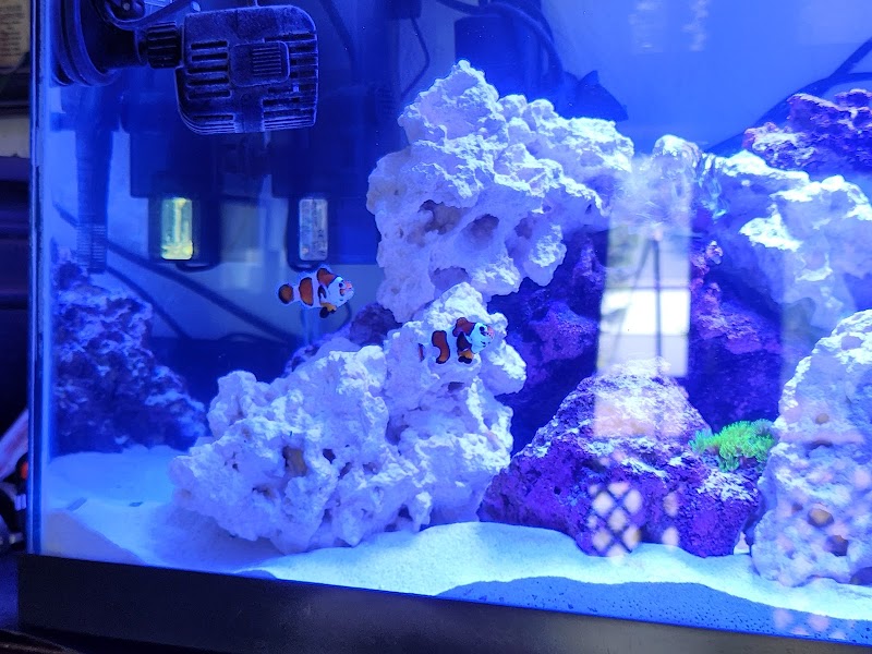 Saltwater City - Photo 1