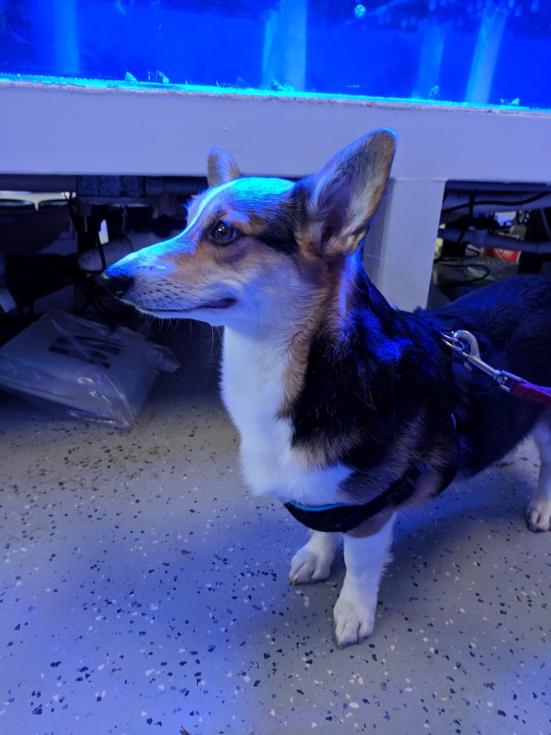 Saltwater City - Photo 2