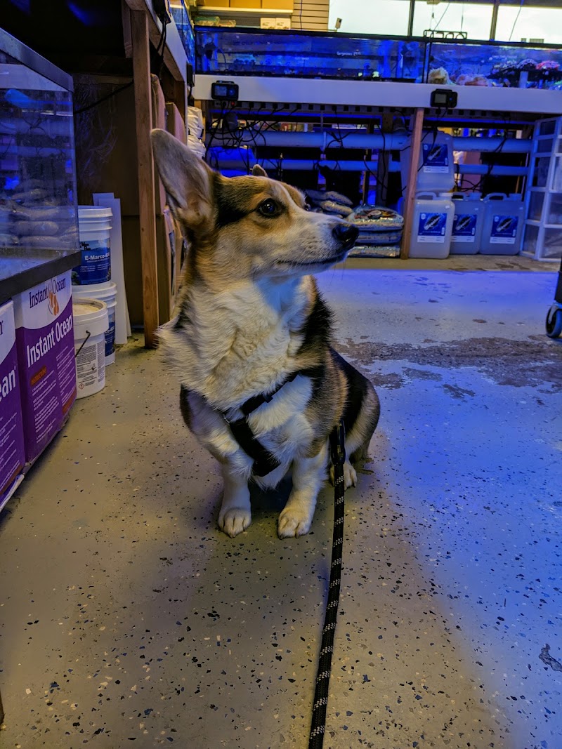 Saltwater City - Photo 4