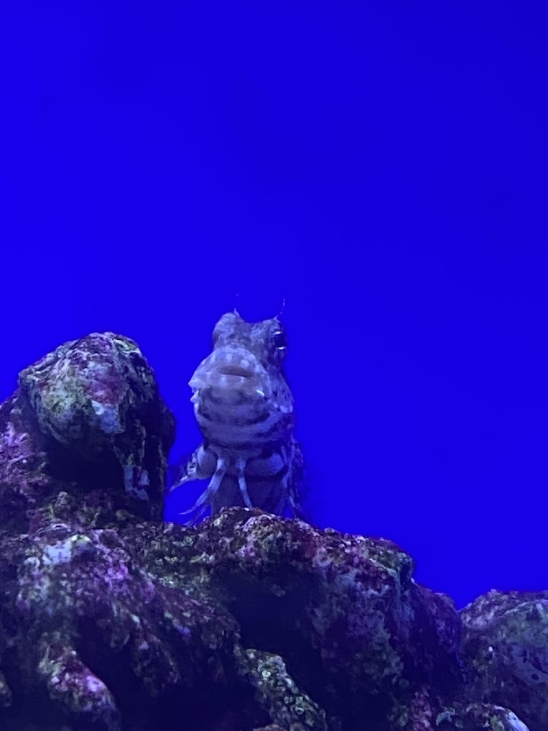 Saltwater City - Photo 5