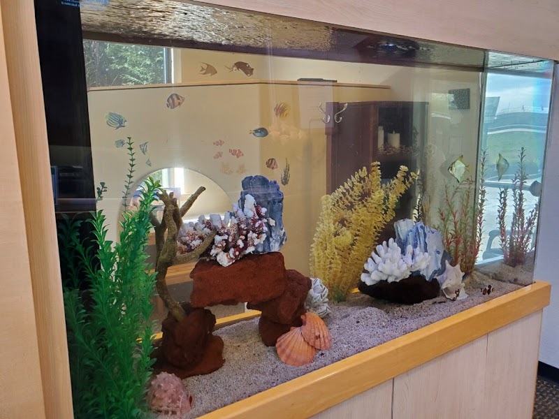 Clayton Aquarium Corporation - Photo 1