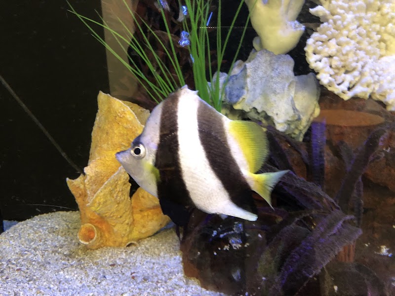 Clayton Aquarium Corporation - Photo 4