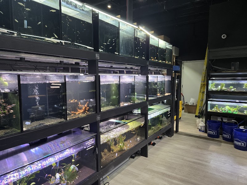 Moonlight Aquatics - Photo 2