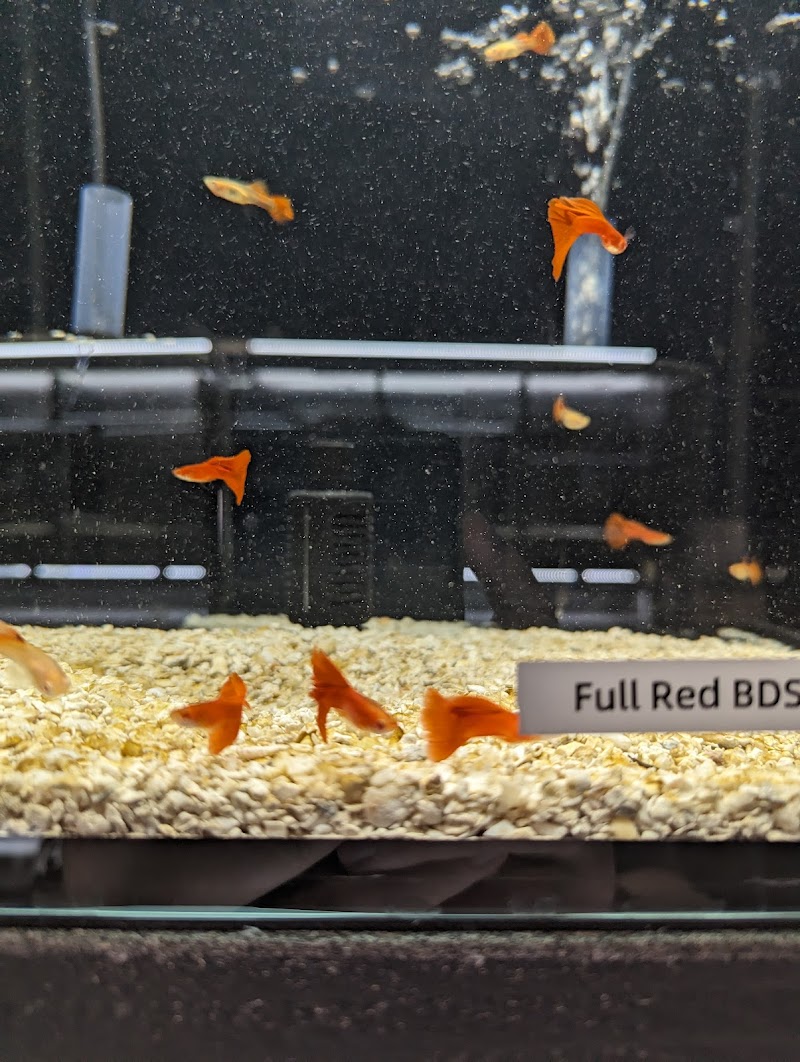 Moonlight Aquatics - Photo 4