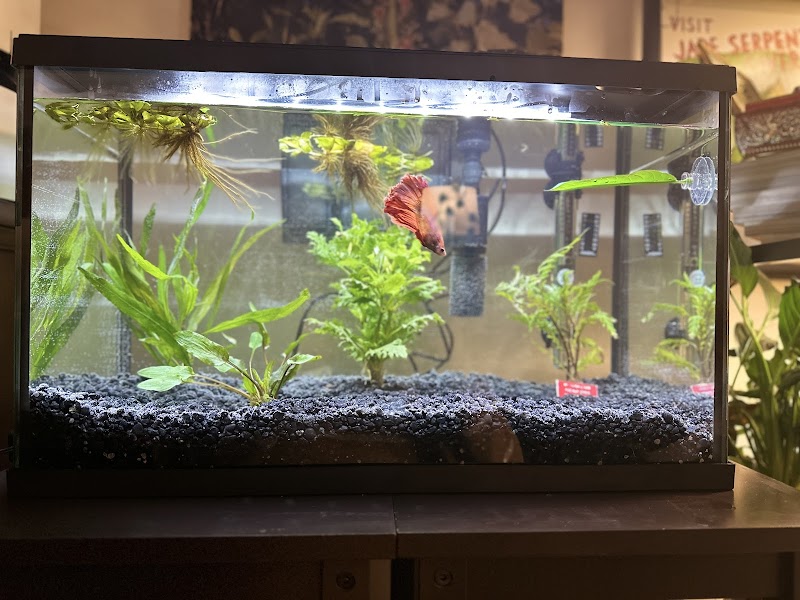 Red's Aquarium & Pet Supply - Photo 4