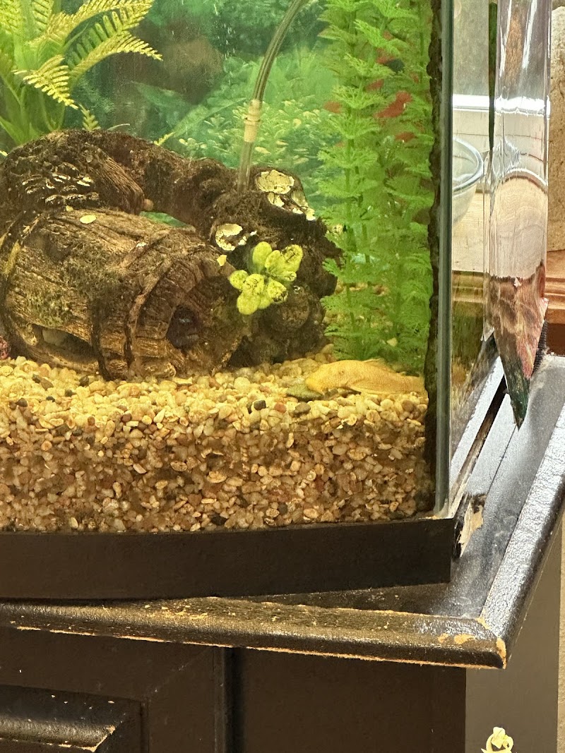 Red's Aquarium & Pet Supply - Photo 5